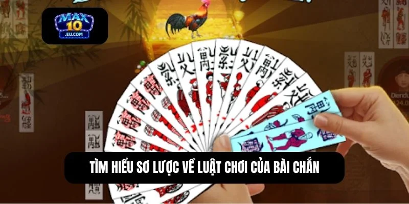 Chắn