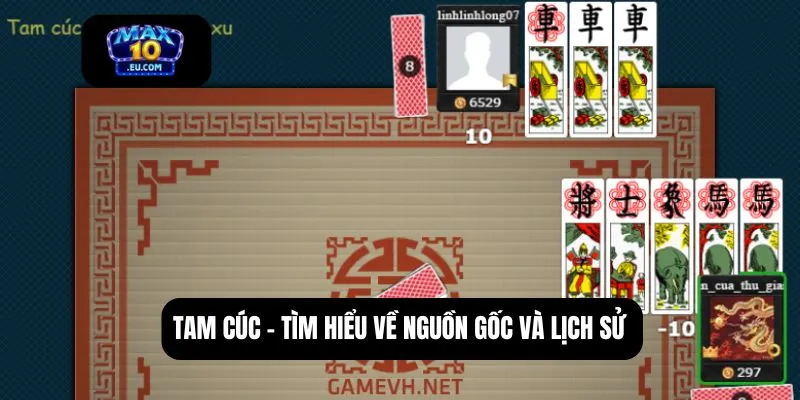 Tam cúc - Tìm hiểu về nguồn gốc và lịch sử